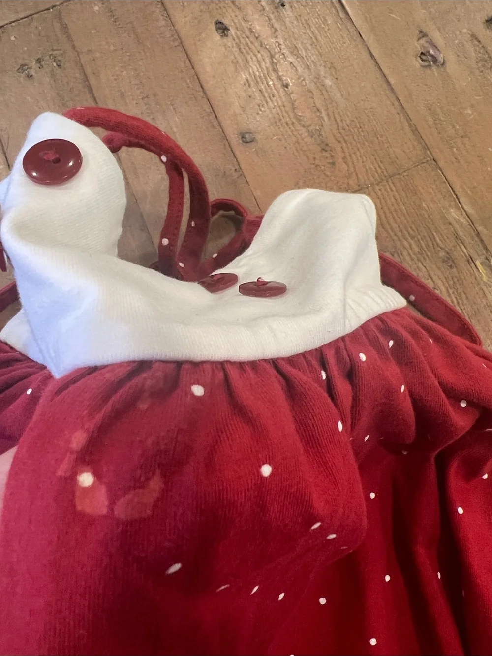 Omi Jo well dressed wolf red and wore polka dot swing top and shorts set 5 years
